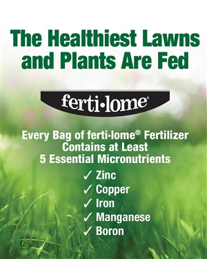 The Healthiest Lawns and Plants Are Fed